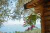 Комплексы для отдыха с коттеджами/бунгало Holiday Park Olive Tree Улцинь-3