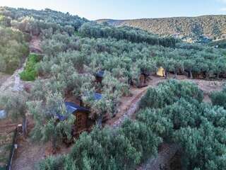Комплексы для отдыха с коттеджами/бунгало Holiday Park Olive Tree Улцинь Передвижной дом-37